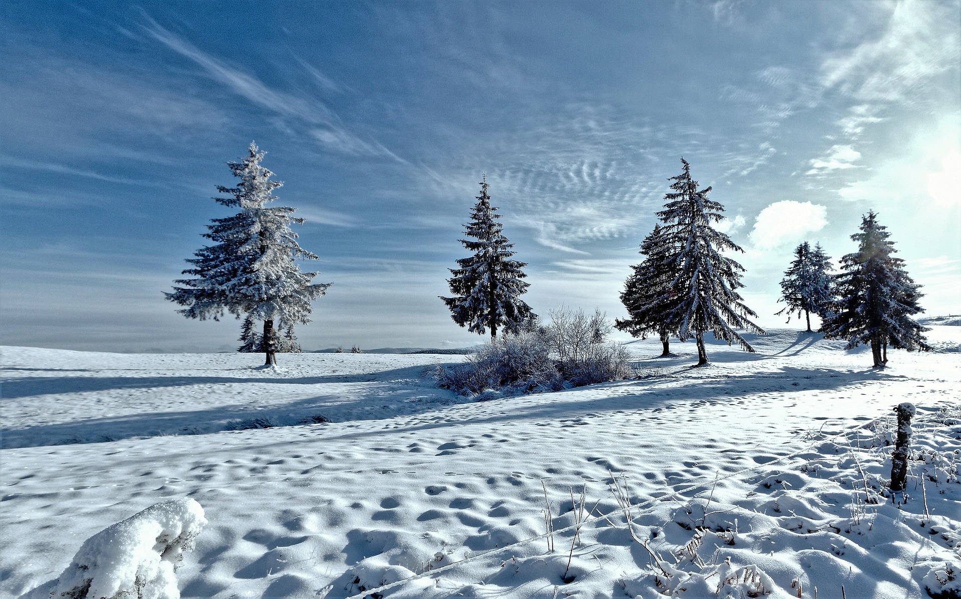 Tips: winterse landschappen fotograferen | digifoto Starter