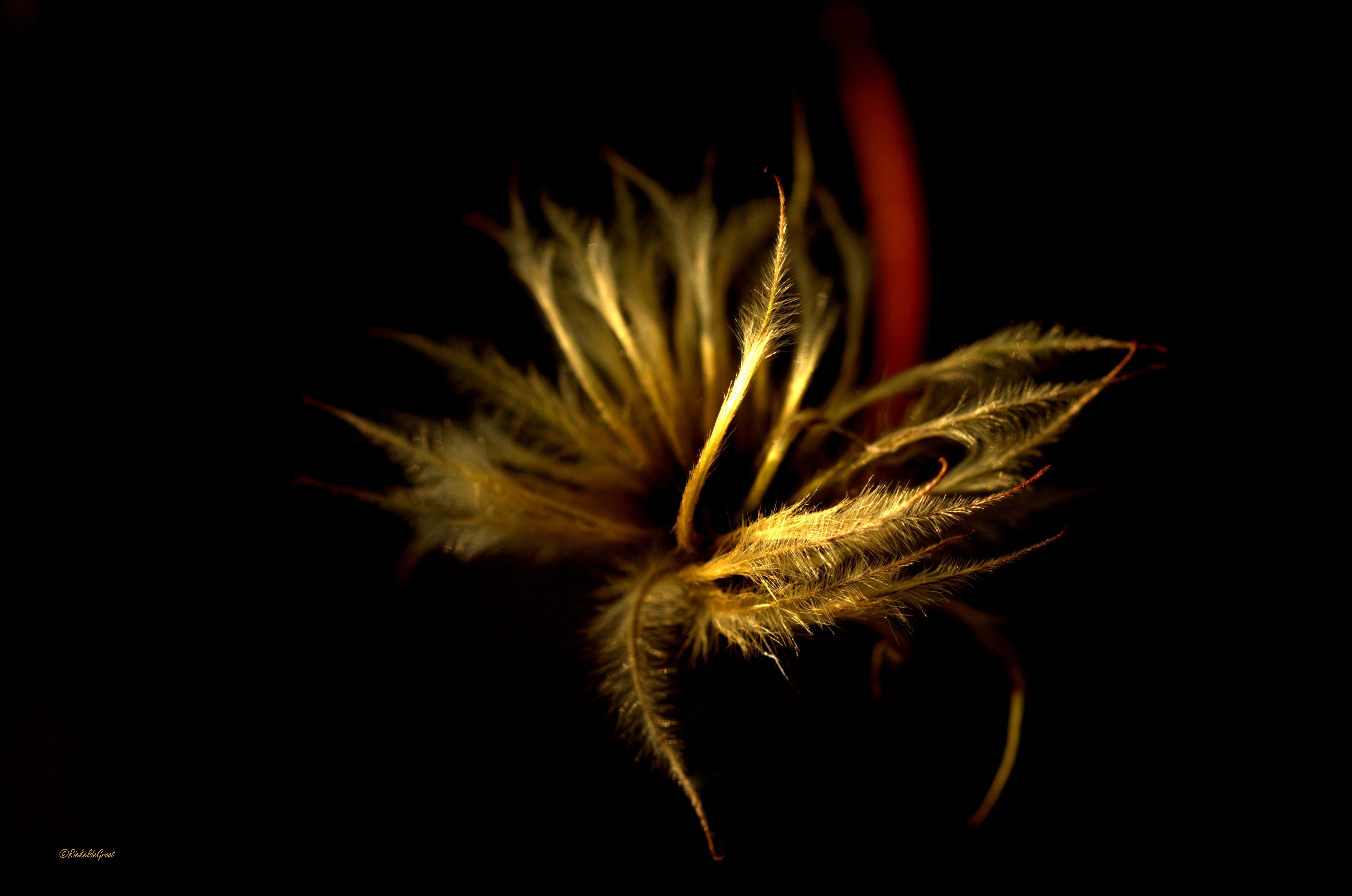 Foto ©