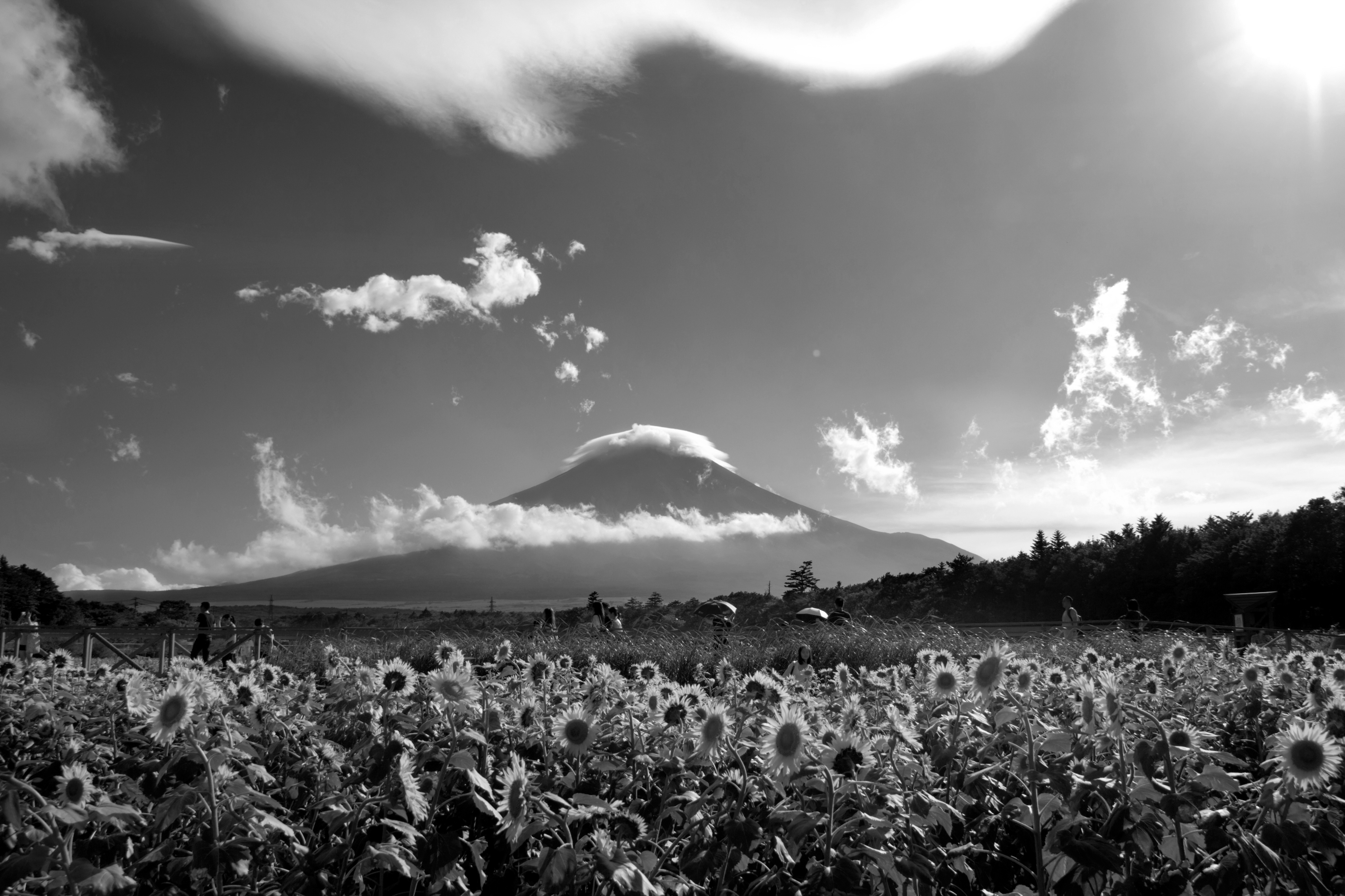 Foto ©