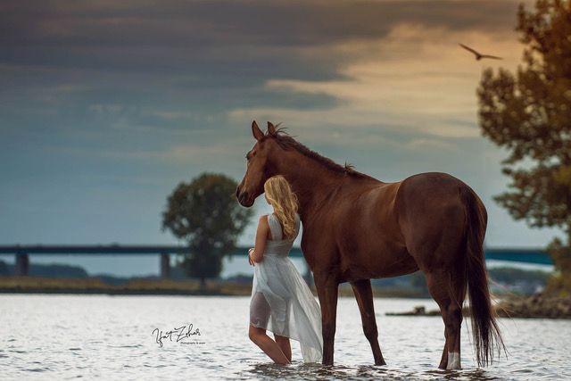 paardenfotografie