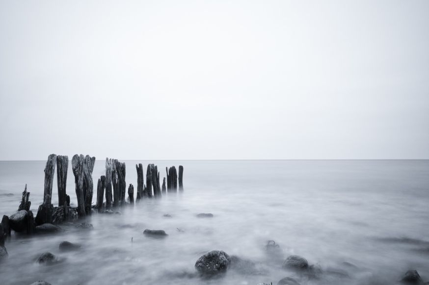 Afbeelding: Zwart-wit landschapsfotografie van een rustige zee met houten palen en een dromerige mist