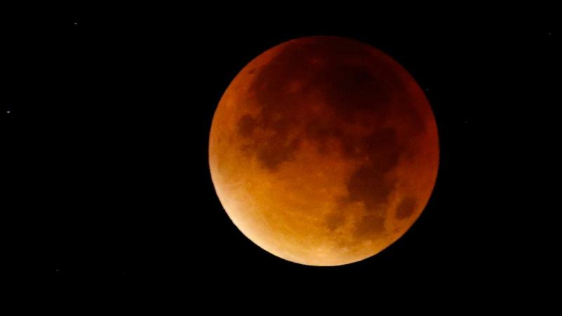 Bloedmaan Bloedmaan