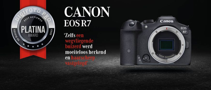 canon eos r7 mirrorless camera 