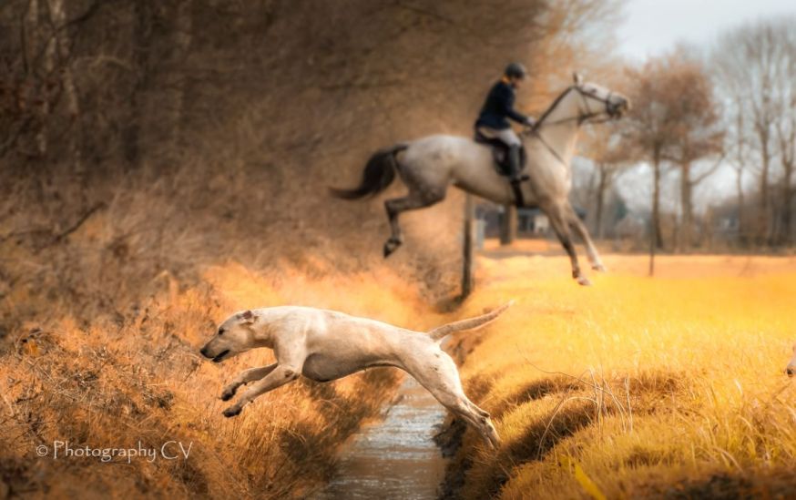 maandopdracht sportfotografie