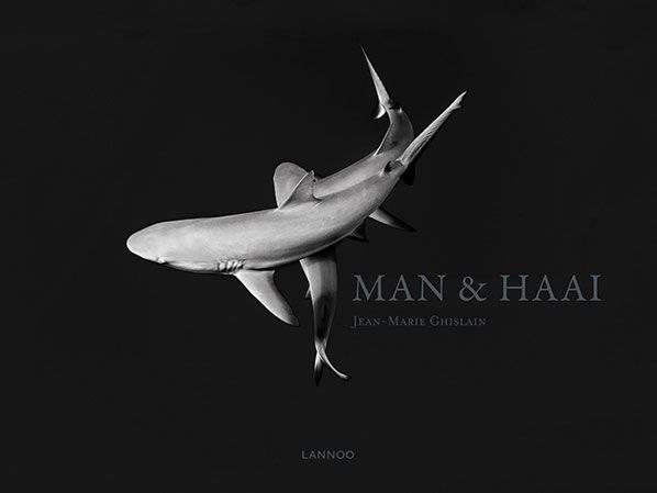 Man & Haai