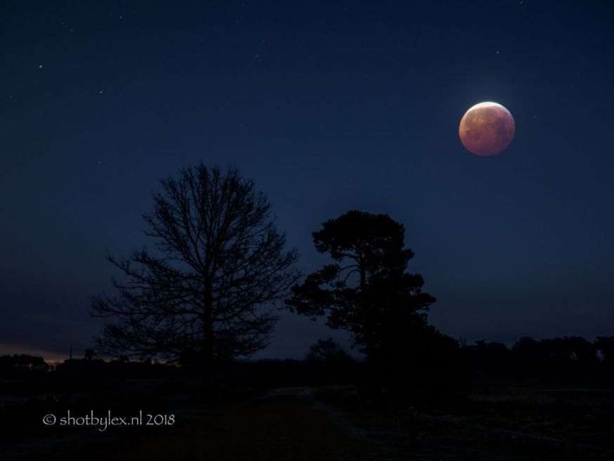 bloedmaan maansverduistering