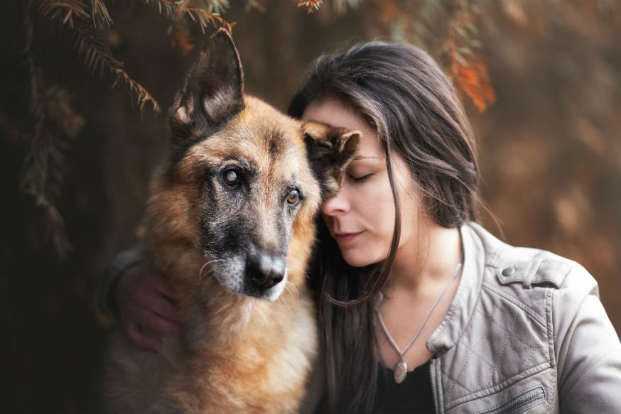 Dog Photographer of the Year, awards, Monica van der Maden, huisdieren, honden fotograferen, honden