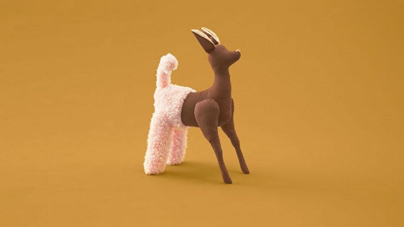 orgaandonoren knuffels