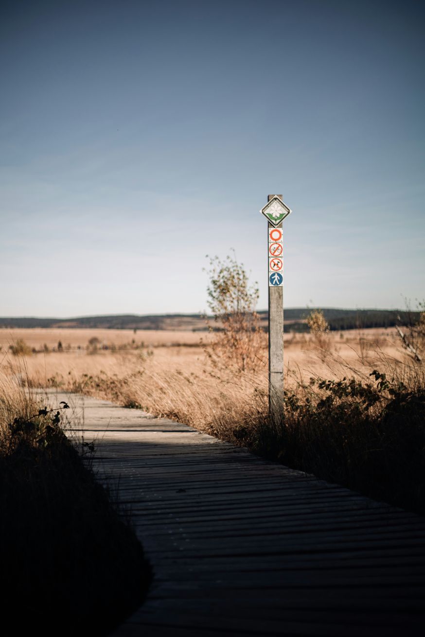 mistige landschappen fotograferen