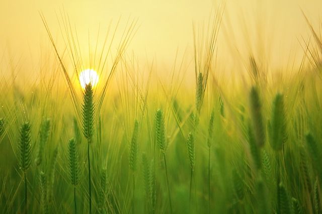 landschapsfotografie, stijl, ontwikkel je eigen stijl