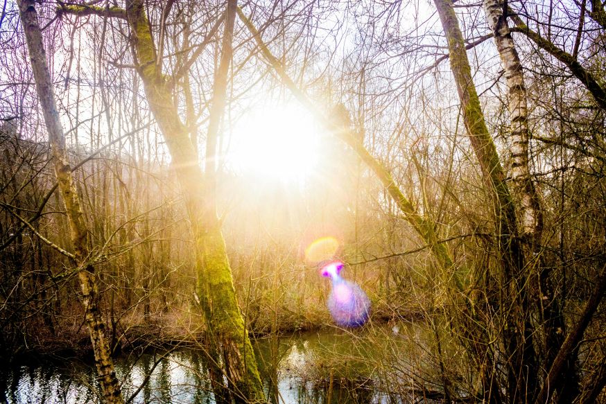 Fotografie-alfabet voor beginners