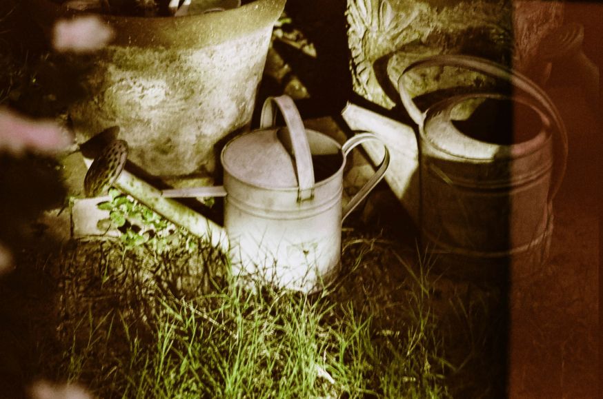 fotograferen met een wegwerpcamera