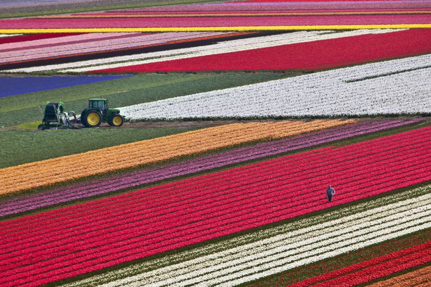 NL 365: het fotoboek over Nederland NL 365: het fotoboek over Nederland