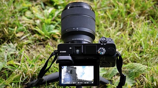 Niet meer geldig Medic kanaal De verschillen tussen spiegelloos en DSLR | digifoto Starter