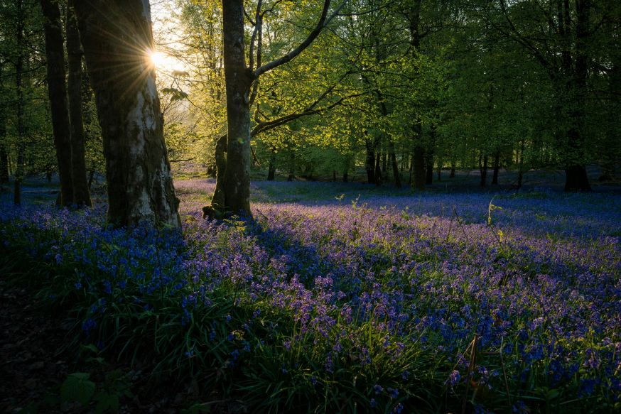 lente fotografie tips