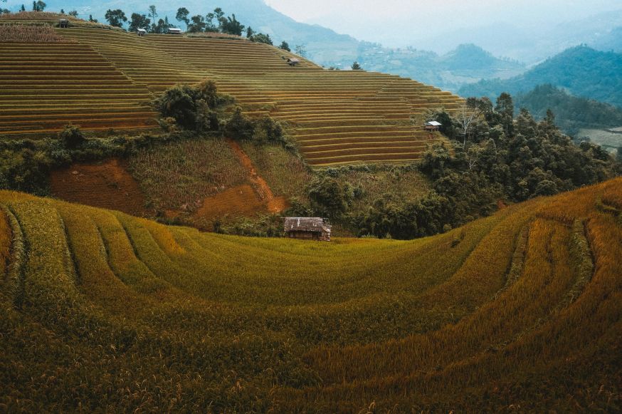 fotocompositie leren