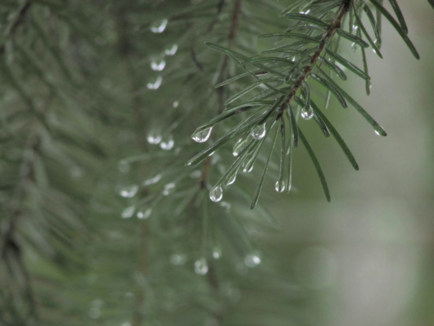Fotograferen bij slecht weer