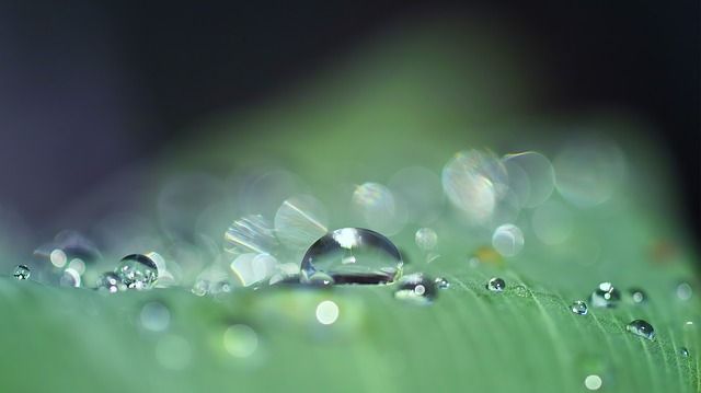 dauw, rijp, landschap, landschapsfotografie