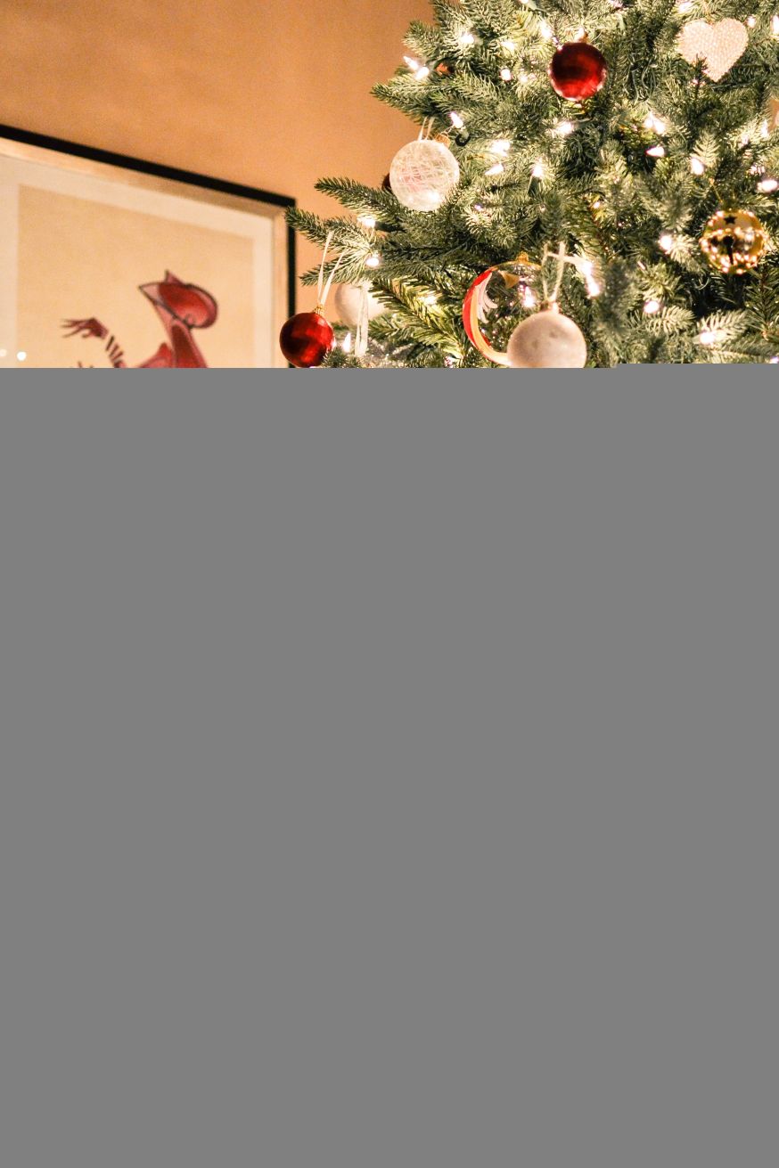 kerst, kerstboom, kerstboom fotograferen, familie, familieportret