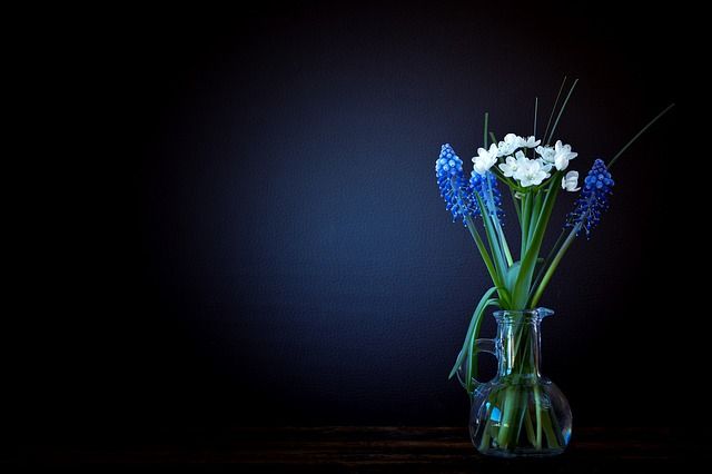 stilleven, schilderkunst, food fotografie, thuis fotograferen