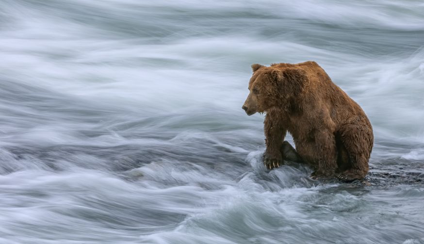natuurfotograaf worden