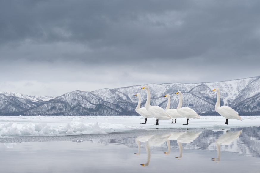 natuurfotograaf worden