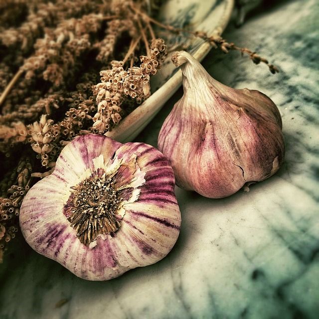 stilleven, schilderkunst, food fotografie, thuis fotograferen