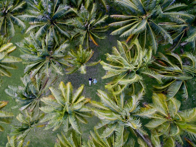 Bruidsfotografie vanuit de lucht