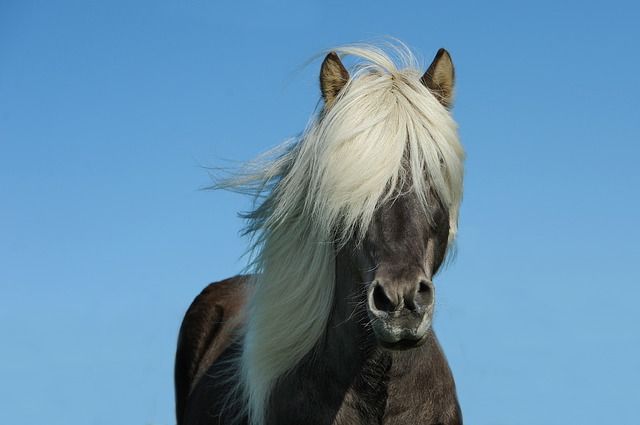 specialisatie, specialiseren, eigen stijl