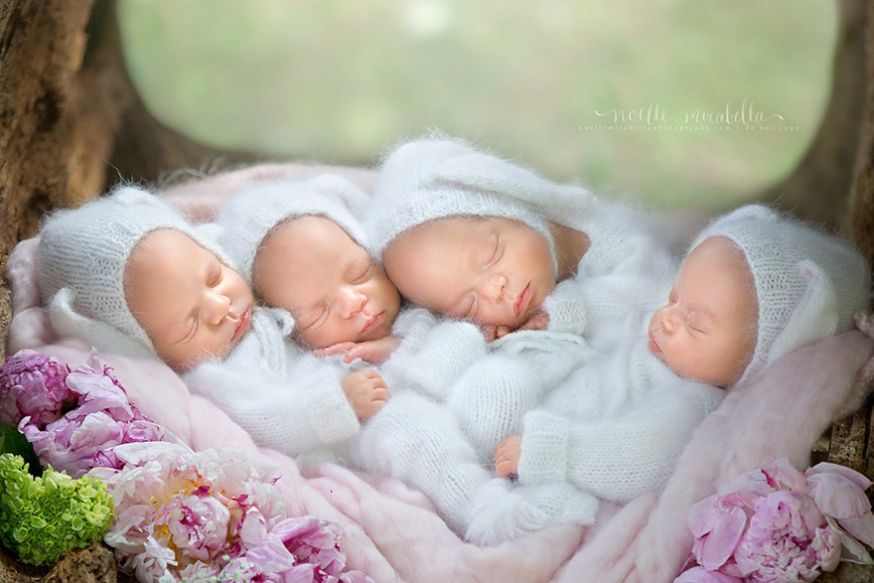 baby photoshoot baby photoshoot