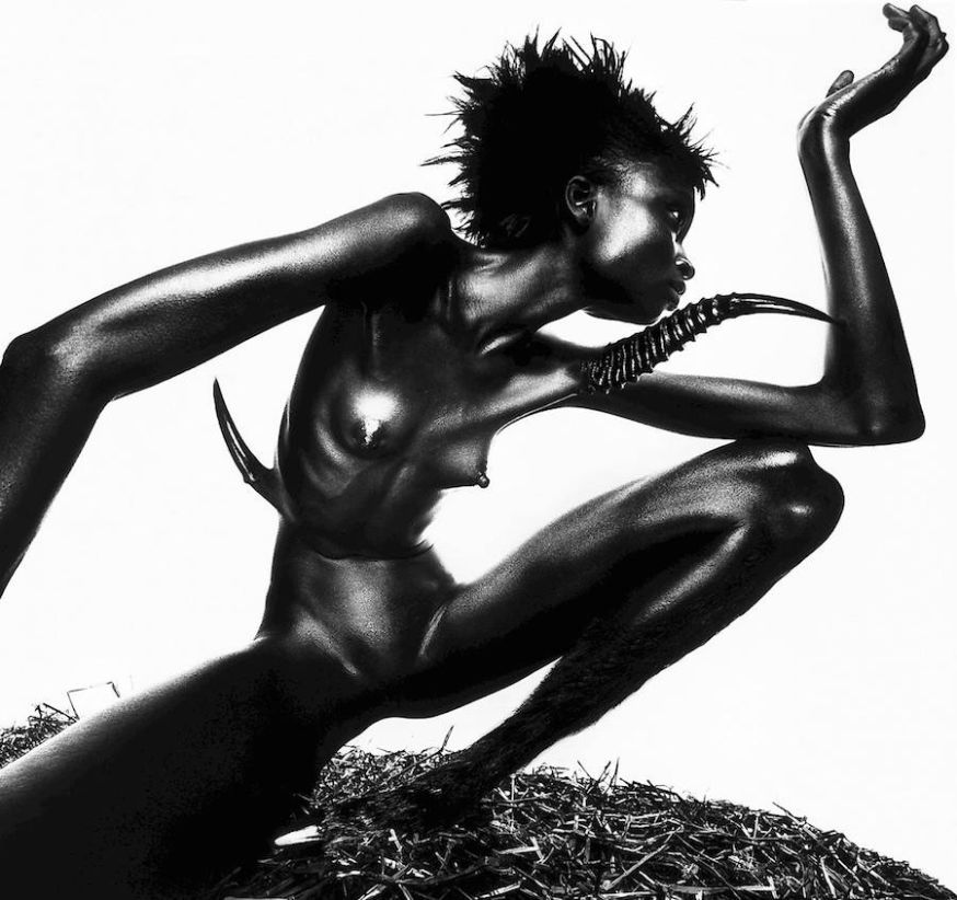 Het prachtige werk van Nick Knight