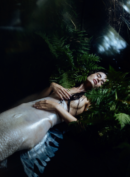 Afbeelding: visualiser van inspiratie bij DIGIFOTO Pro 1.2026