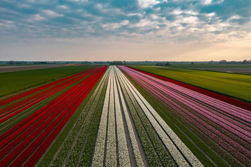 hoe maak je landschapsfoto’s