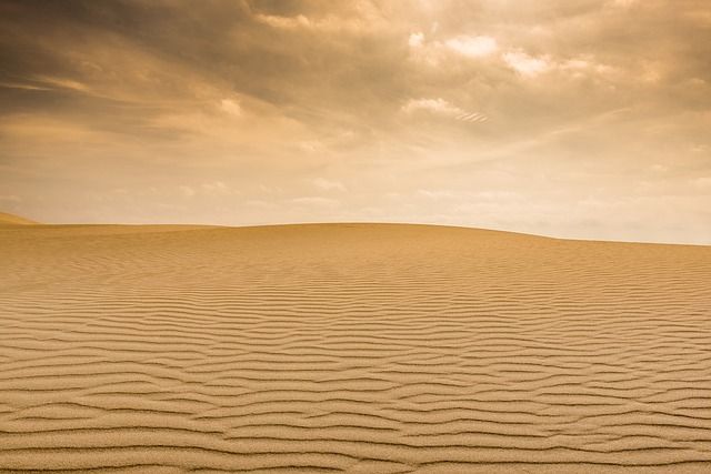 wind, wind fotograferen, slecht weer