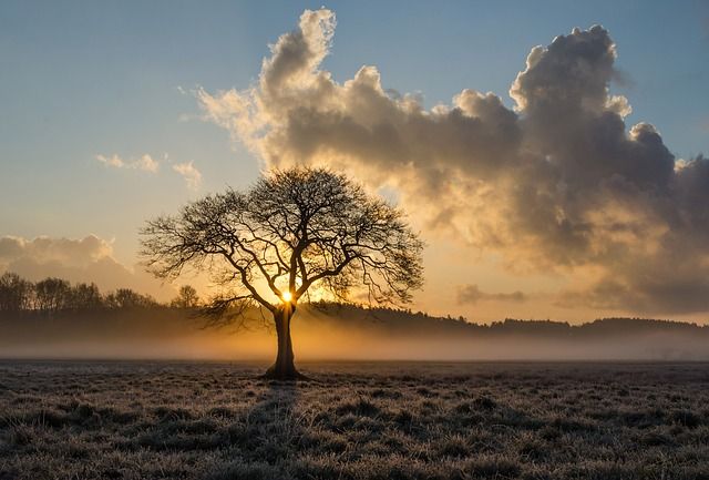 apps, applicaties, buitenfotografie, buiten fotograferen