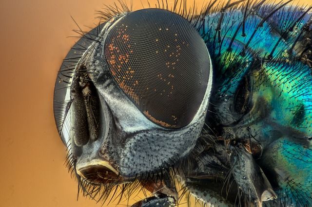 bracketing, bracketen, HDR, focus stacking