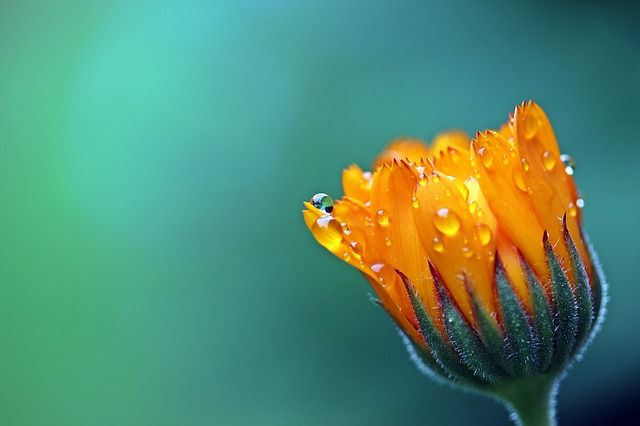 fouten, beginner, beginnende fotograaf