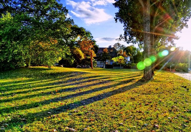 zonnekap, DIY, Zelf een zonnekap maken, lensflare