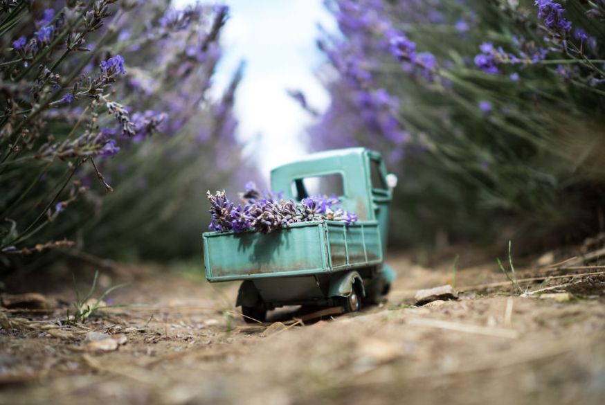 Kim Leuenberger 