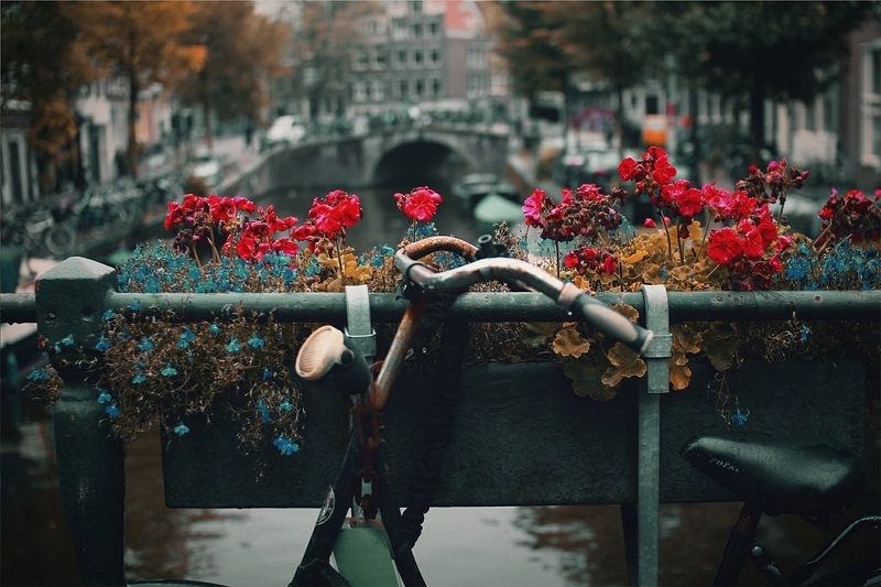 amsterdam fotografie