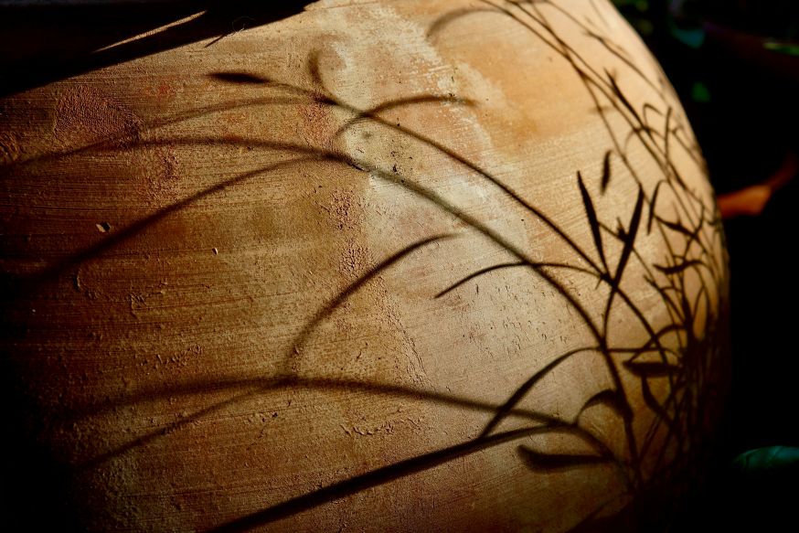 fotograferen met natuurlijk licht
