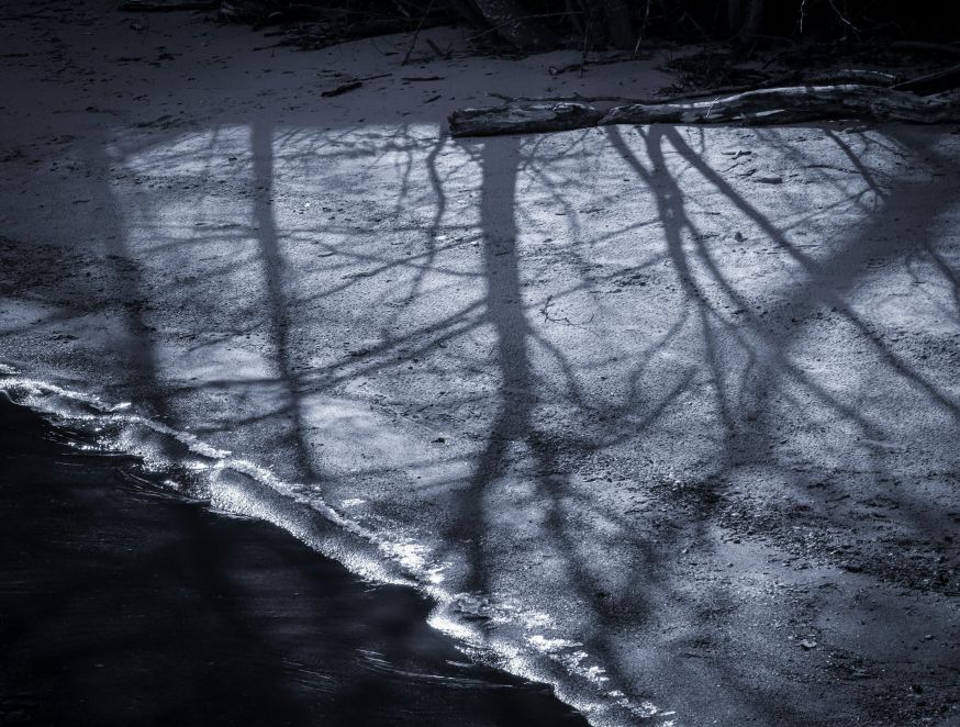 tegenlicht fotografie