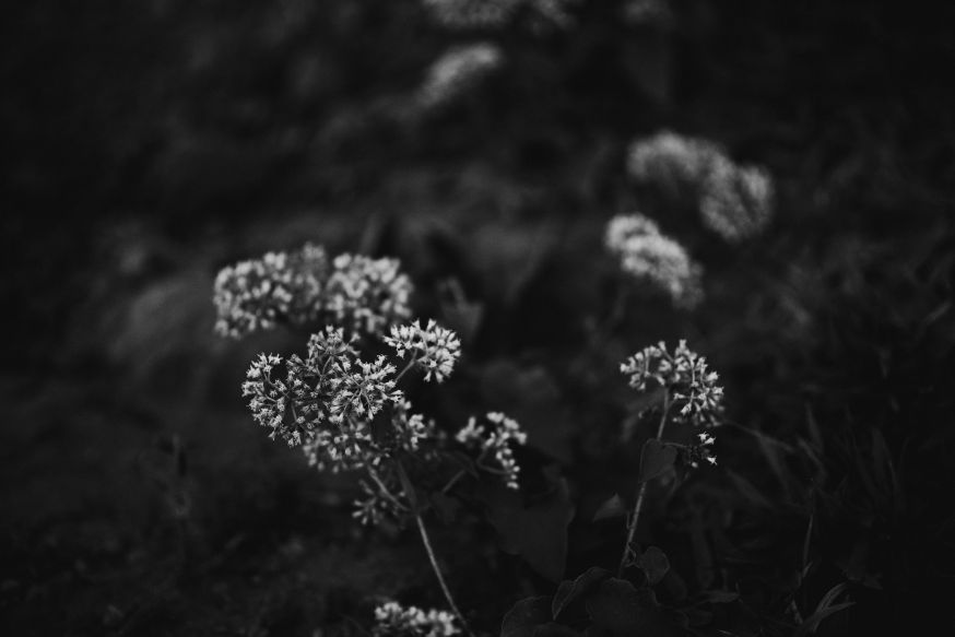 fotografie serie maken