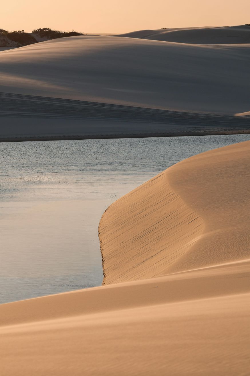 fotograferen in de duinen