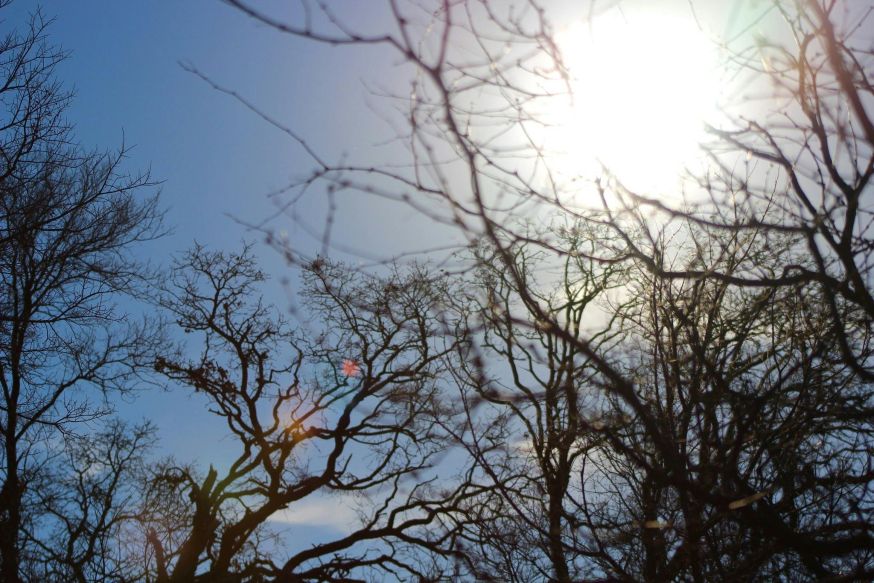 scheve horizon voorkomen