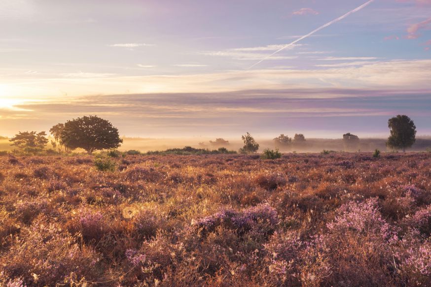 Handboek landschapsfotografie