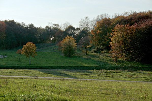 Foto - bewerkt met Picnik