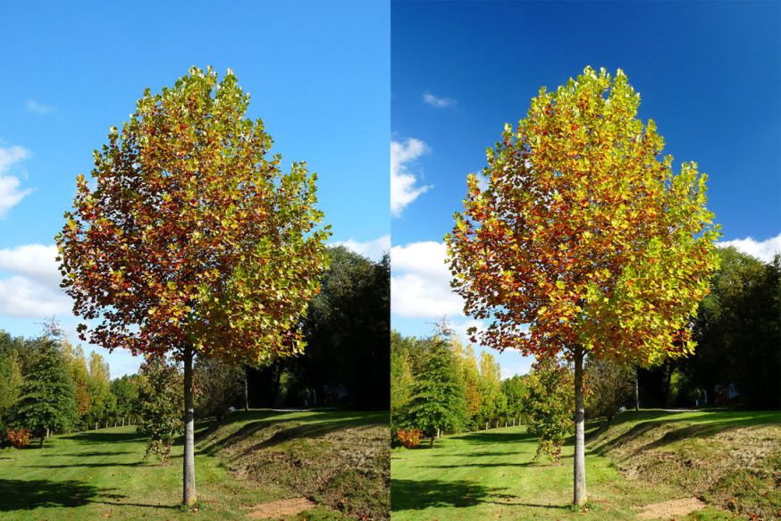 polarisatiefilter