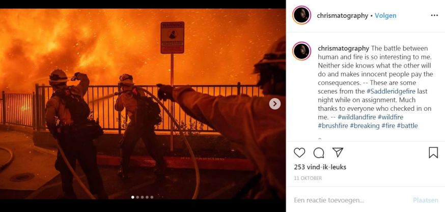 Portraits of Protection