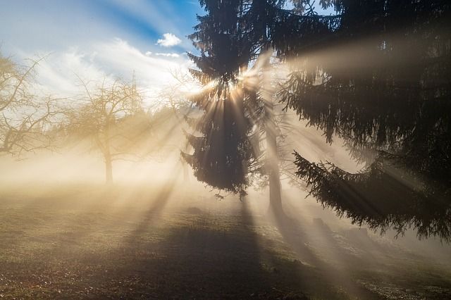 kijken, zien, betere foto's